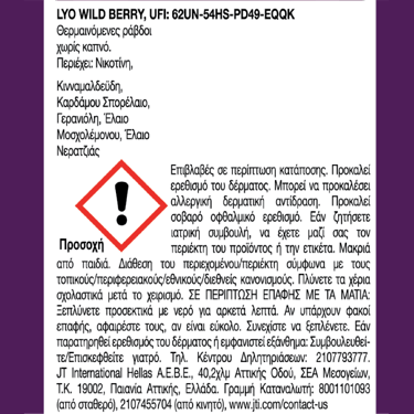 LYO Sticks Wild Berry – 10 Πακέτα