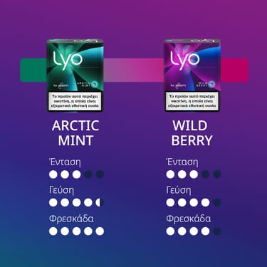 LYO Sticks Arctic Mint – 5 Πακέτα