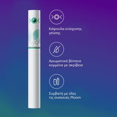 LYO Sticks Arctic Mint – 5 Πακέτα